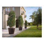 Lechuza CLASSICO Premium LS 70