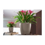 Lechuza CLASSICO Premium LS 70