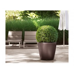 Lechuza CLASSICO Premium LS 60