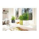 Αυτοποτιζόμενες Πλαστικές Γλάστρες Lechuza CUBE Color 16 Lechuza CUBE Color 16 |kipogeorgiki.live