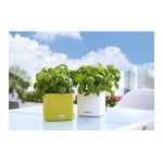 Αυτοποτιζόμενες Πλαστικές Γλάστρες Lechuza CUBE Color 16 Lechuza CUBE Color 16 |kipogeorgiki.live
