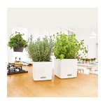Αυτοποτιζόμενες Πλαστικές Γλάστρες Lechuza CUBE Color 16 Lechuza CUBE Color 16 |kipogeorgiki.live