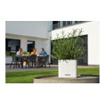 Αυτοποτιζόμενες Πλαστικές Γλάστρες Lechuza CUBE Color 16 Lechuza CUBE Color 16 |kipogeorgiki.live