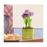 Αυτοποτιζόμενες Πλαστικές Γλάστρες Lechuza CUBE Color 16 Lechuza CUBE Color 16 |kipogeorgiki.live