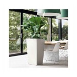 Αυτοποτιζόμενη Πλαστική Γλάστρα Lechuza CUBICO Premium 40 CUBICO Premium 40 Αυτοποτιζόμενες Πλαστικές Γλάστρες Lechuza
