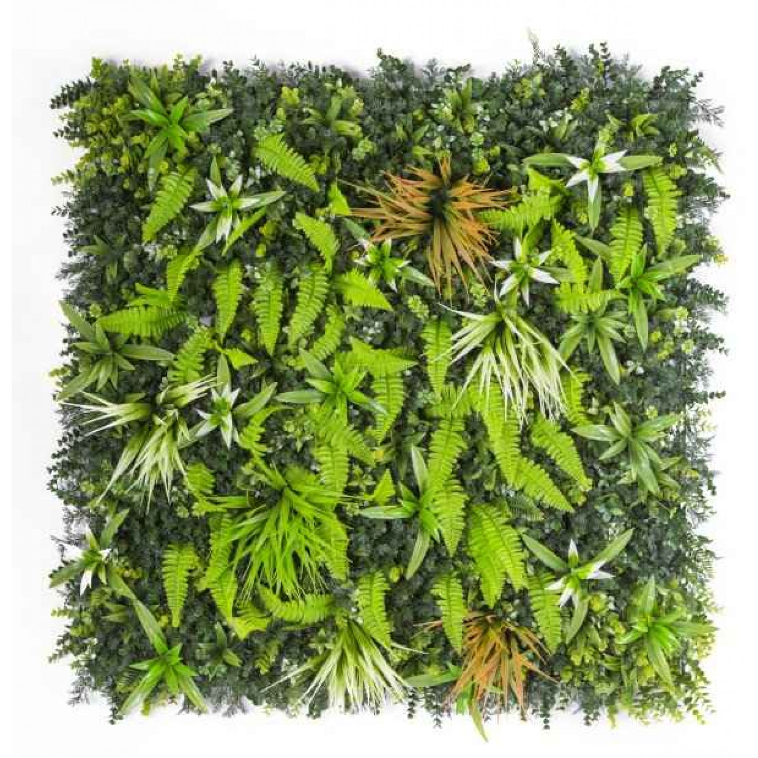 Synthetic Green Wall Tile Jungle Mix 100x100cm Green Wall Tile Jungle Mix 100x100cm | kipogeorgiki.live