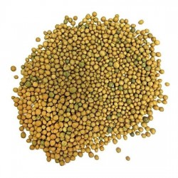 Slow - Controlled Release Fertilizers