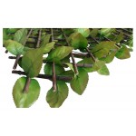 Decorative Expandable Plastic Foliage 100x300cm Decorative Expandable Plastic Foliage 100x300cm | kipogeorgiki.live