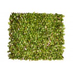 Decorative Expandable Plastic Foliage 100x300cm Decorative Expandable Plastic Foliage 100x300cm | kipogeorgiki.live