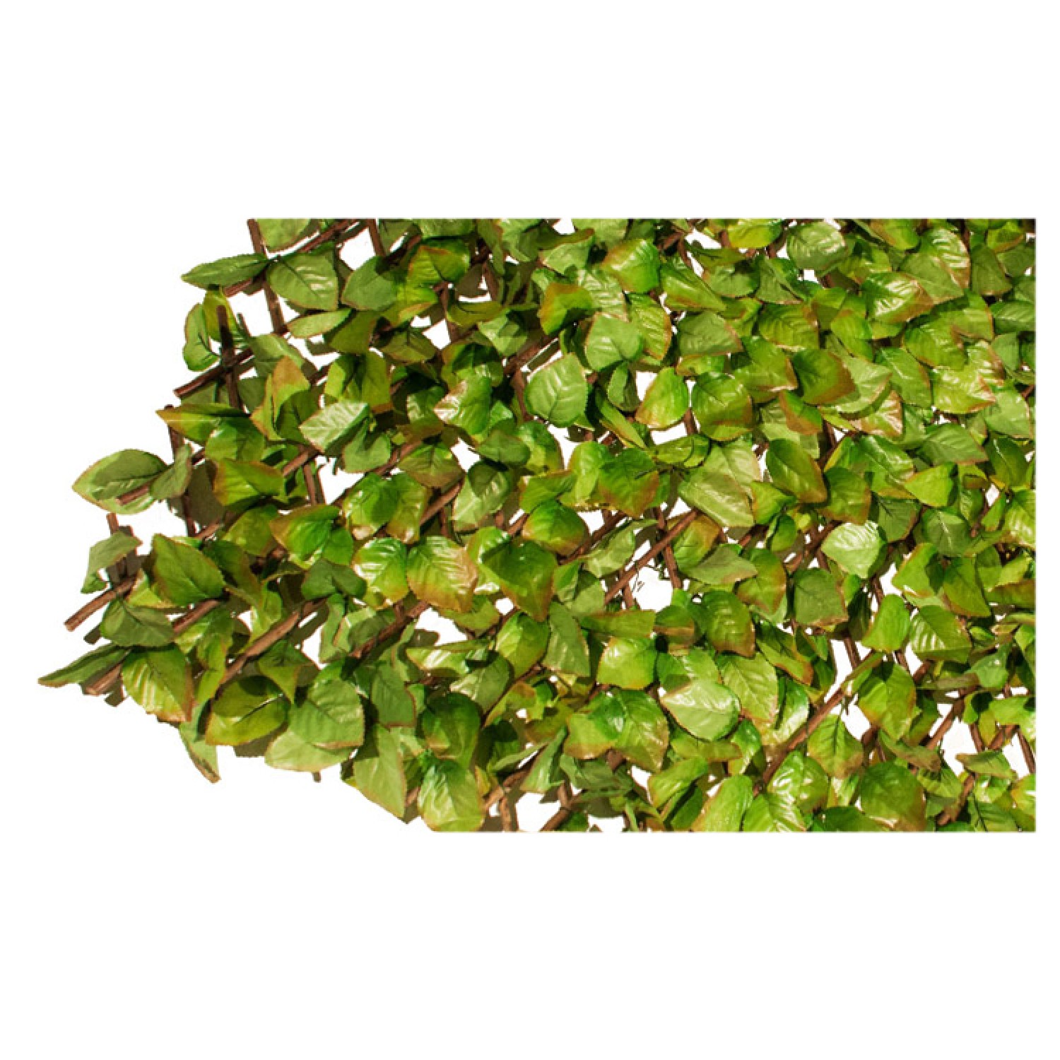 Decorative Expandable Plastic Foliage 100x300cm Decorative Expandable Plastic Foliage 100x300cm | kipogeorgiki.live