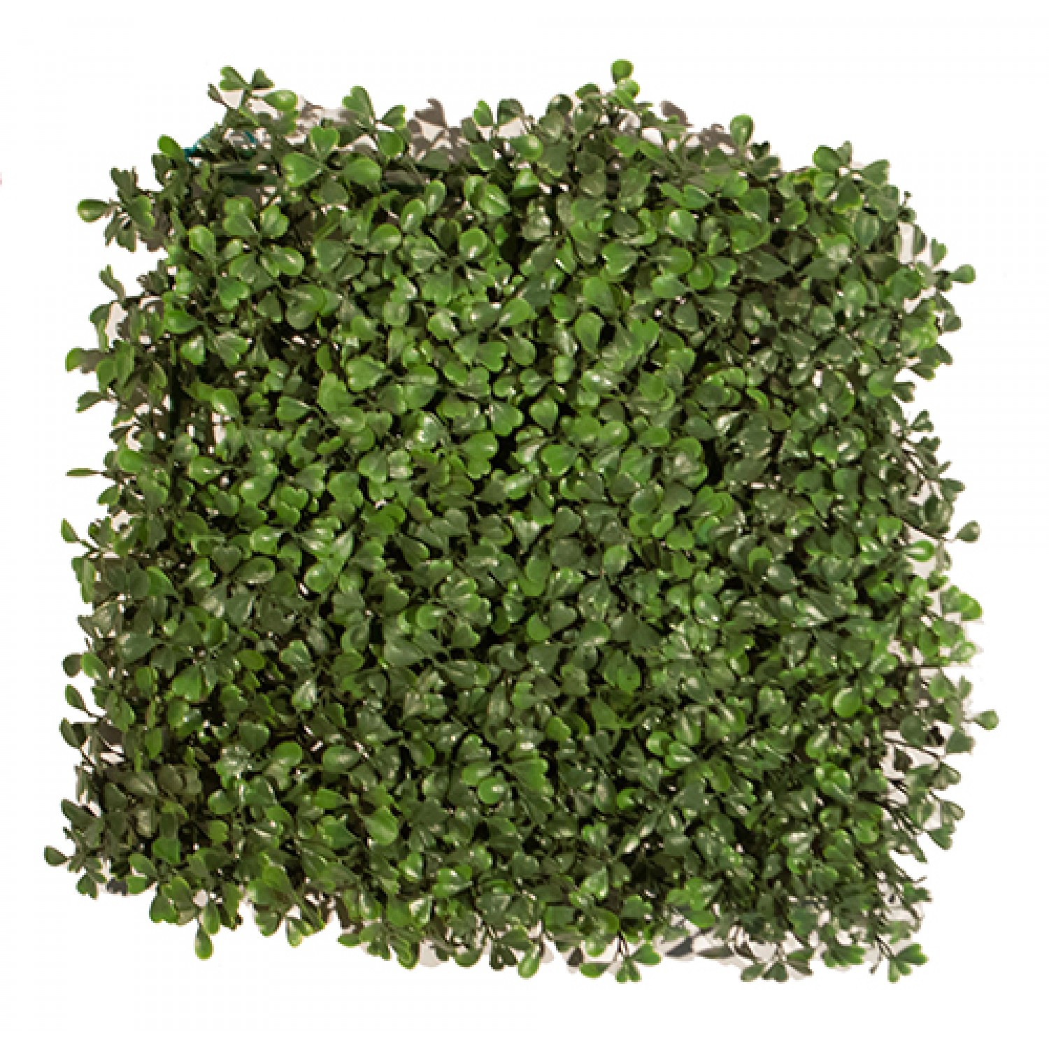 Synthetic Boxwood Shrub Foliation Ultimate Coverage 50x50cm Synthetic Boxwood Shrub Foliation Ultimate Coverage 50x50cm | kipogeorgiki.live