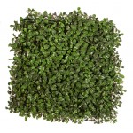 Synthetic Boxwood Shrub Foliation Ultimate Coverage 50x50cm Synthetic Boxwood Shrub Foliation Ultimate Coverage 50x50cm | kipogeorgiki.live