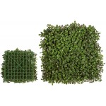 Synthetic Boxwood Shrub Foliation Ultimate Coverage 50x50cm Synthetic Boxwood Shrub Foliation Ultimate Coverage 50x50cm | kipogeorgiki.live