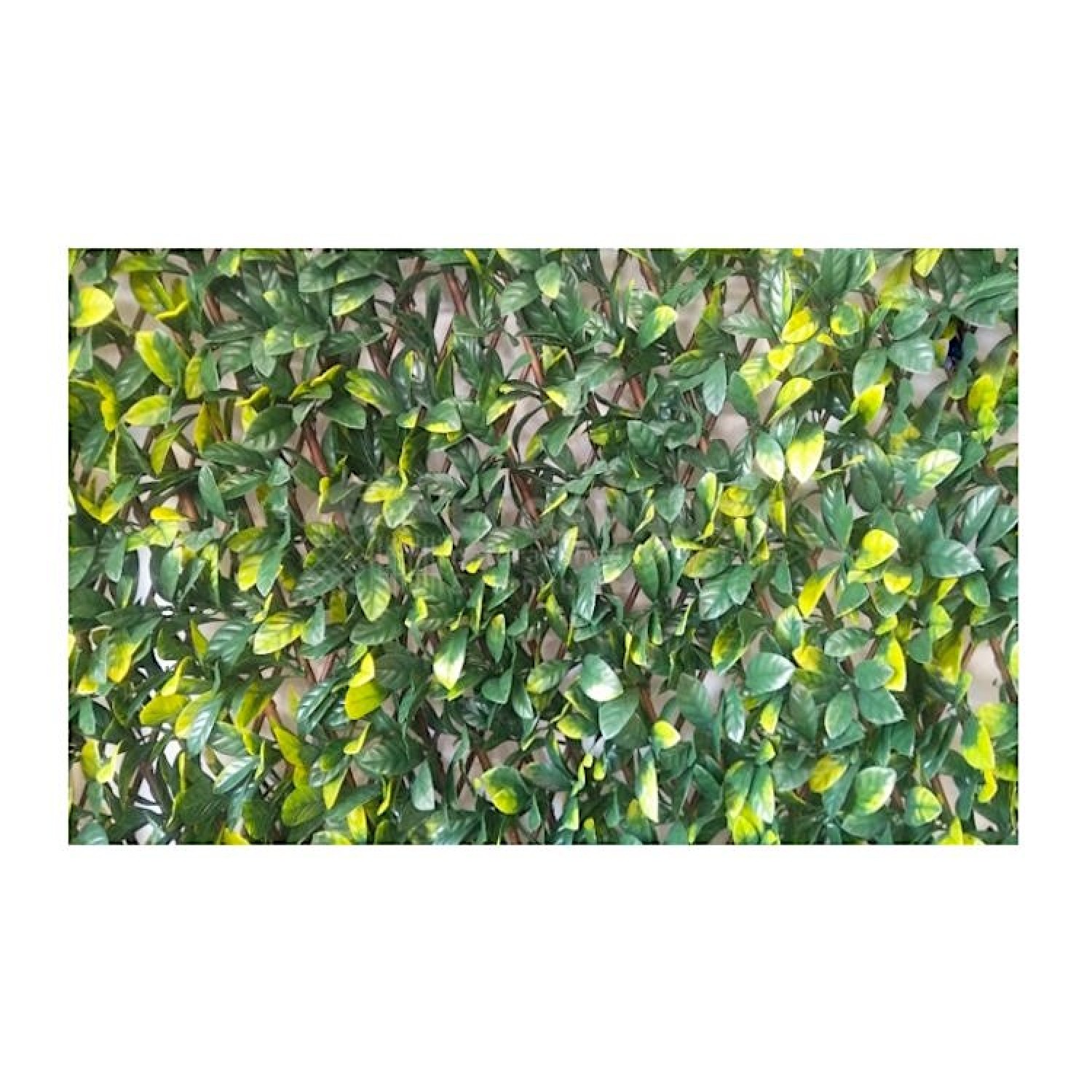 Decorative Schefflera Expandable Plastic Foliage 100x200cm Decorative Schefflera Expandable Plastic Foliage 100x200cm | kipogeorgiki.live