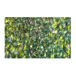 Decorative Schefflera Expandable Plastic Foliage 100x200cm Decorative Schefflera Expandable Plastic Foliage 100x200cm | kipogeorgiki.live