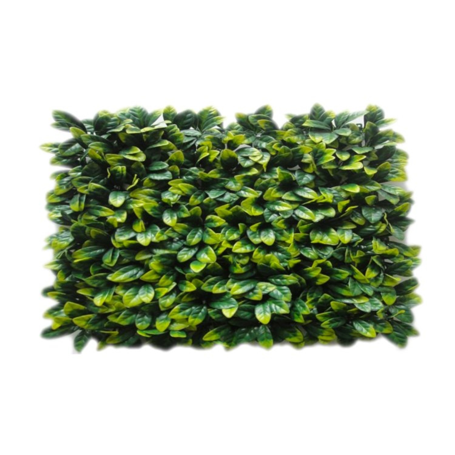 Decorative Schefflera Plastic Foliage 100x100cm Decorative Schefflera Plastic Foliage 100x100cm | kipogeorgiki.live