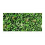Synthetic Green Wall Tile Jungle Mix 100x100cm Green Wall Tile Jungle Mix 100x100cm | kipogeorgiki.live