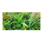 Synthetic Green Wall Tile Jungle Mix 100x100cm Green Wall Tile Jungle Mix 100x100cm | kipogeorgiki.live
