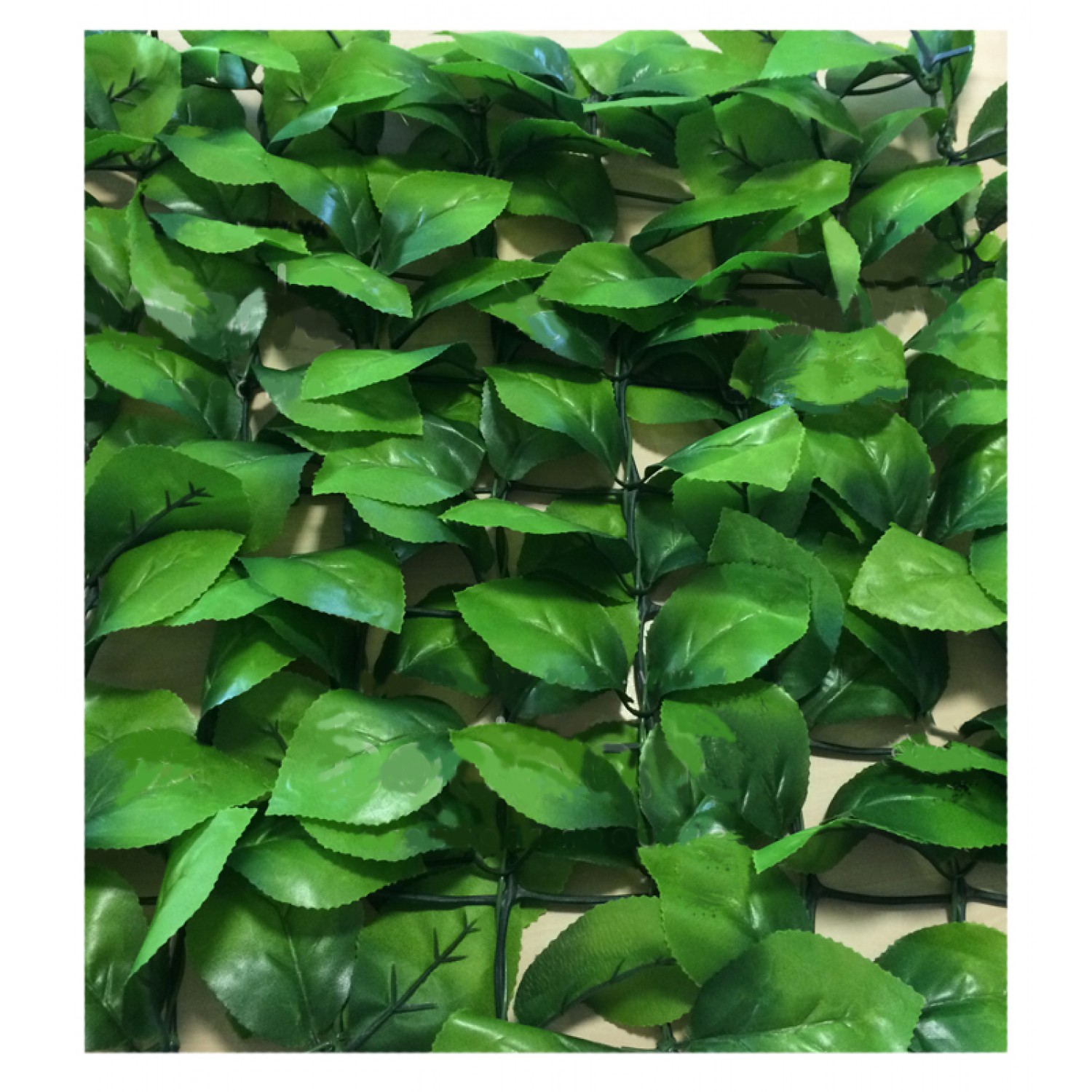 Πλαστικές Φυλλωσιές 150x300cm σε Πλέγμα Πράσινο Ανοιχτό | kipogeorgiki.live