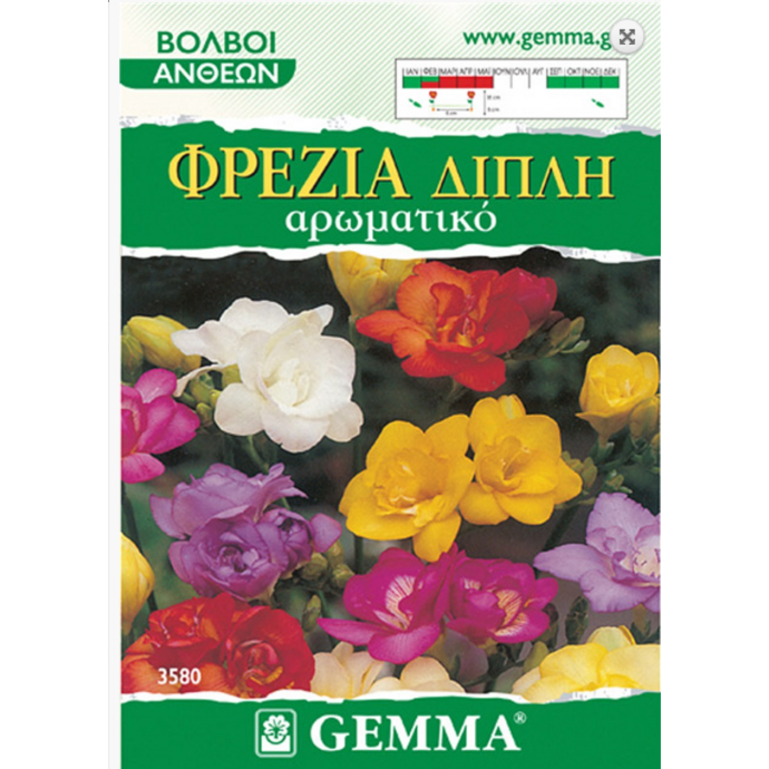 Freesia Bulbs Double Mix (Freesia "Mixed Colours") Freesia Bulbs Double Mix (Freesia "Mixed Colours") | kipogeorgiki.live