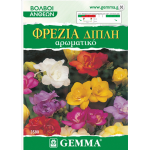 Freesia Bulbs Double Mix (Freesia "Mixed Colours") Freesia Bulbs Double Mix (Freesia "Mixed Colours") | kipogeorgiki.live