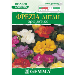 Φρέζιες Διπλές Ανάμικτα Χρώματα - Βολβοί (Freesia "Mixed Colours")