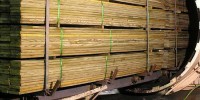 Preasure Treated Timber