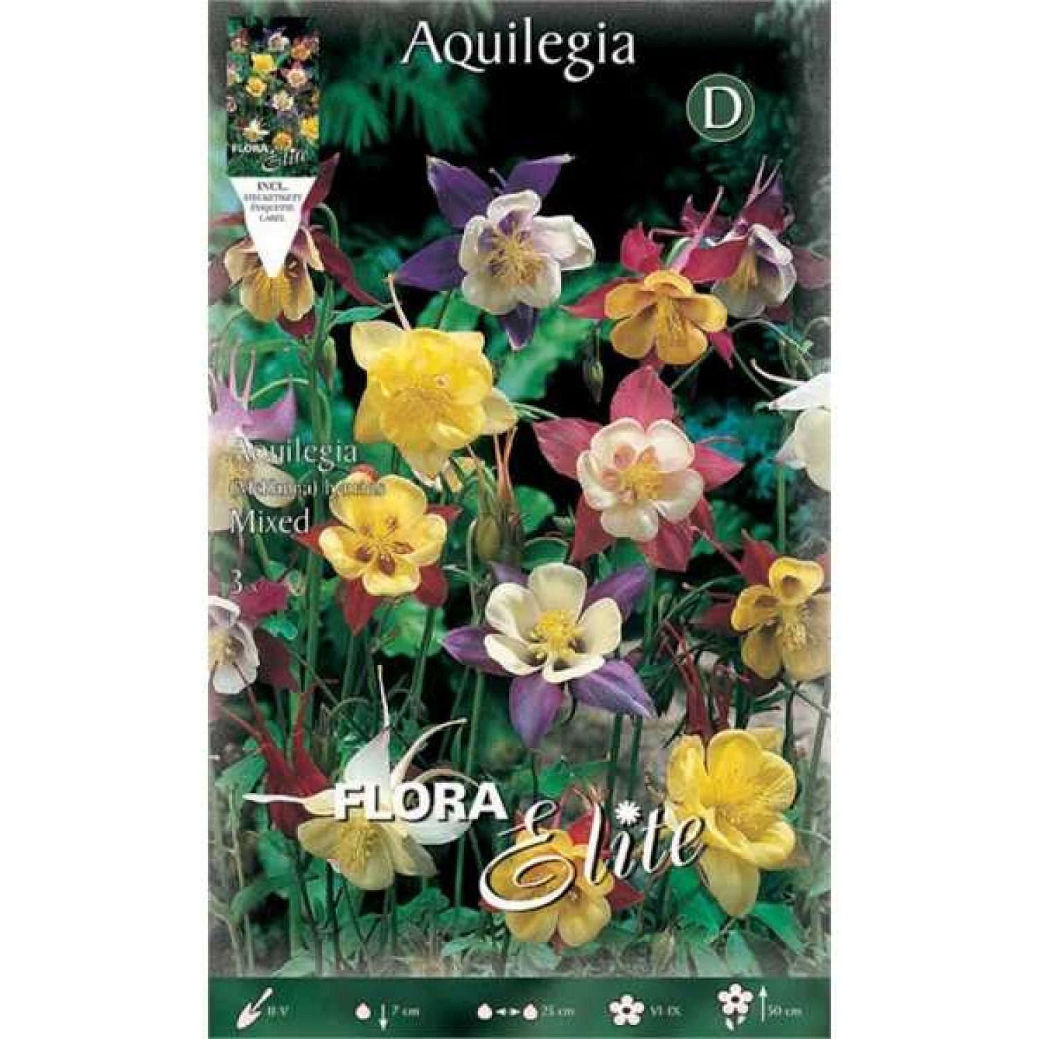 Ακουϊλέγκια Mckanna Mixed Διάφορα Χρώματα (Aquilegia vulgaris ‘Mckanna’) Ρίζα - 806407 Ακουϊλέγκιες Διάφορα Χρώματα Mckanna Mixed - Ρίζα