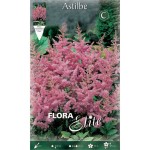 Αστίλβη Ροζ Arendsii Pink (Astilbe × arendsii ‘Pink’) Ρίζωμα (849879) Αστίλβες Ροζ Arendsii Pink (Astilbe × arendsii ‘Pink’) - Ριζώματα