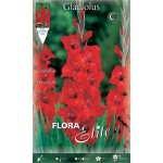 Γλαδιόλα Mascagni Φάκελος 10 Βολβών (Gladiolus x hybridus 'Mascagni') 10175 Γλαδιόλες Mascagni Φάκελος 10 Βολβών