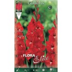 Γλαδιόλα Tradehorn Φάκελος 10 Βολβών (Gladiolus x hortulanus 'Tradehorn') 753978 Γλαδιόλες Tradehorn Φάκελος 10 Βολβών Κόκκινο