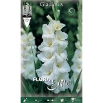 Γλαδιόλα White Prosperity Φάκελος 10 Βολβών (Gladiolus x hortulanus 'White Prosperity') 758874 Γλαδιόλες White Prosperity Φάκελος 10 Βολβών Λευκό