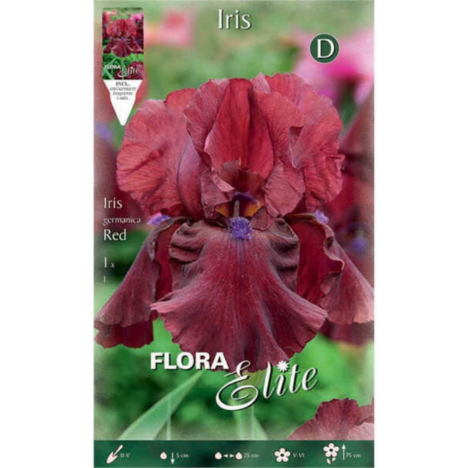 Bearded Iris Germanica Red (Iris × germanica 'Red') Bearded Iris Germanica Red (Iris × germanica 'Red') - Rhizome-Spring Planting