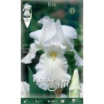 Bearded Iris Germanica White (Iris × germanica 'White') Bearded Iris Germanica White (Iris × germanica 'White') - Rhizome-Spring Planting