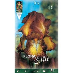 Ίριδες Germanica Bronze (Iris × germanica 'Bronze') - Ρίζωμα (829222)