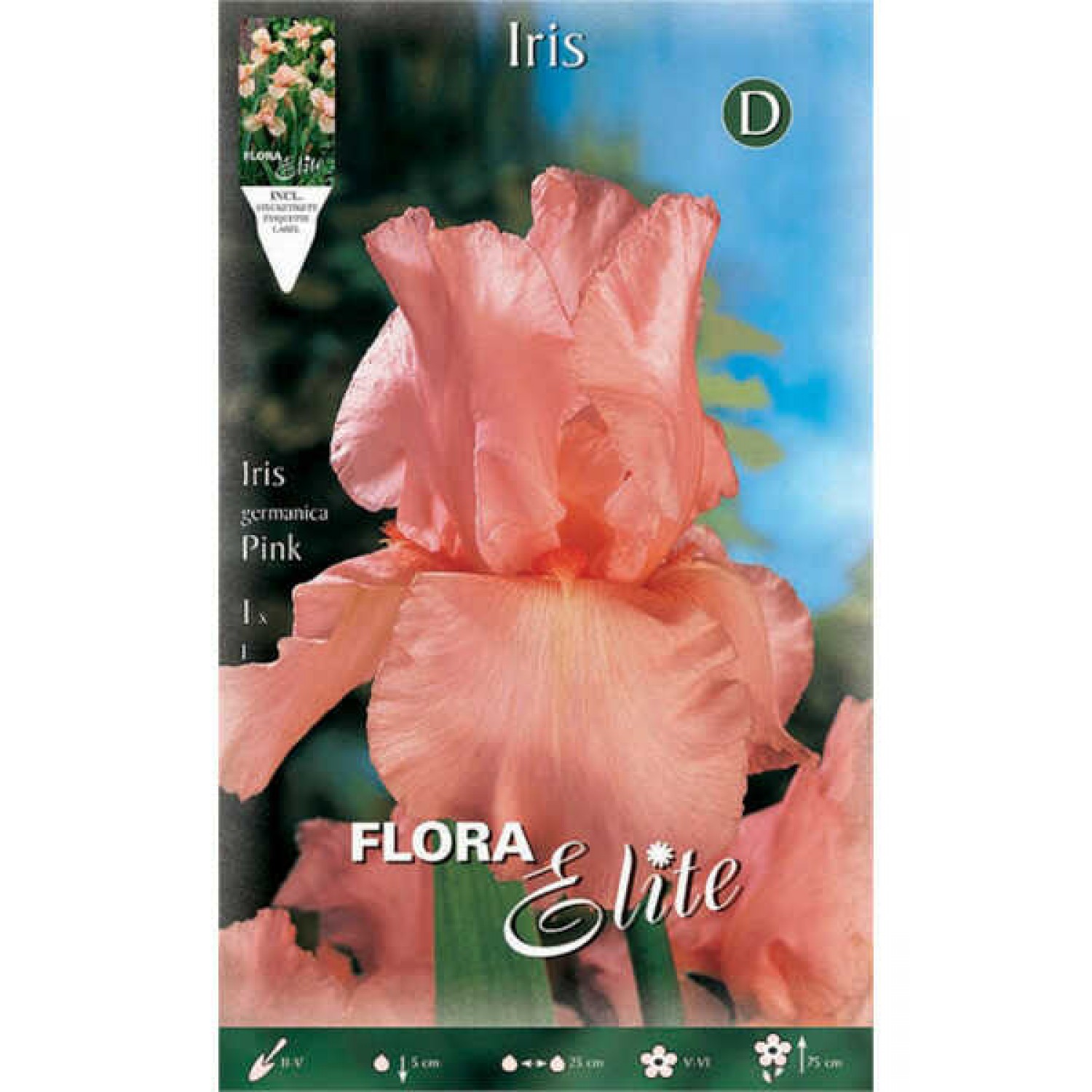 Bearded Iris Germanica Pink (Iris × germanica 'Pink') Bearded Iris Germanica Pink (Iris × germanica 'Pink') - Rhizome-Spring Planting