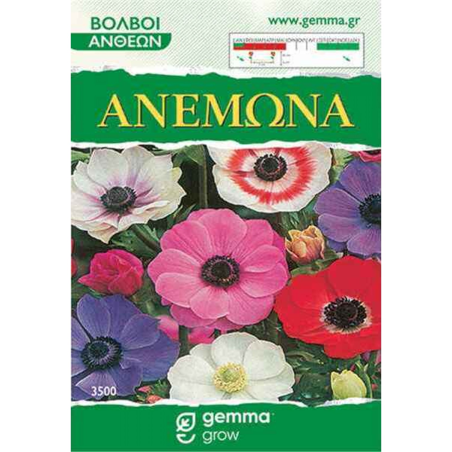 Ανεμώνη Μείγμα Χρωμάτων (Anemone coronaria) Κορμός Ανεμώνη Μείγμα Χρωμάτων (Anemone coronaria) Βολβός-Κορμός - Ανεμώνες Βολβοί-Κορμοί