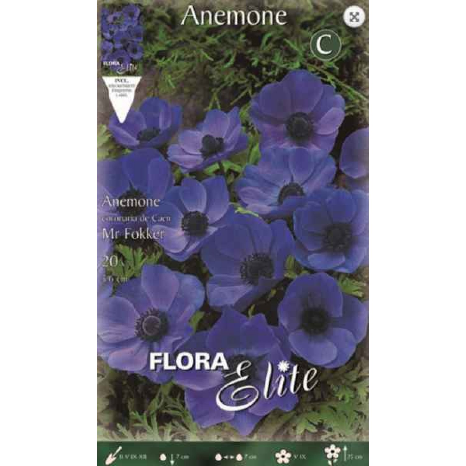 Windflower (De Caen Group) 'Mr. Fokker' Bulb (Anemone coronaria 'Mr. Fokker') - Garden Anemones