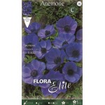 Windflower (De Caen Group) 'Mr. Fokker' Bulb (Anemone coronaria 'Mr. Fokker') - Garden Anemones