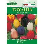 Tulip Classic Mix (Tulipa spp.) Bulbs - Fall Planting Tulips Classic Mix (Tulipa spp.) Bulbs - Fall Planting