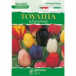 Τουλίπες Κλασικές Μείγμα (Tulipa spp.) Βολβοί
