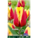 Tulips 'Jan Seignette' Bulbs (Tulipa x hybrida 'Jan Seignette')