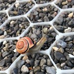ECCOgravel Grids-Panels 120x80x2cm HDPE with Geotextile by ECCO - Stabilizers for Pebbles & Gravels