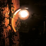 Wall Arched Light 42 x 42cm Wall Arched Light 42 x 42cm |kipogeorgiki.live