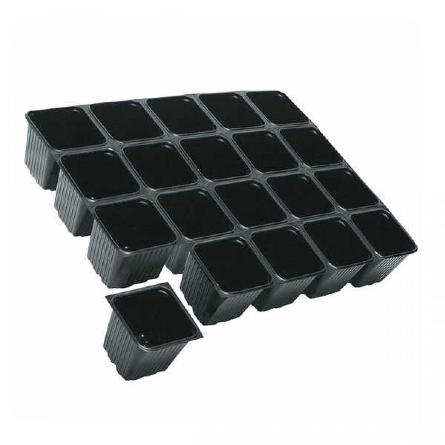 Seeding Pots on a Tray | kipogeorgiki.live 