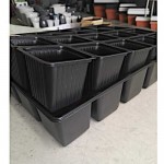 Sowing Disc Base 20 Cells | Kipogeorgiki