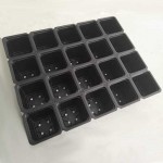 Seeding Pots on a Tray | kipogeorgiki.live 