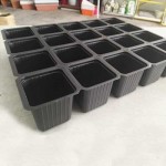 Seeding Pots on a Tray | kipogeorgiki.live 