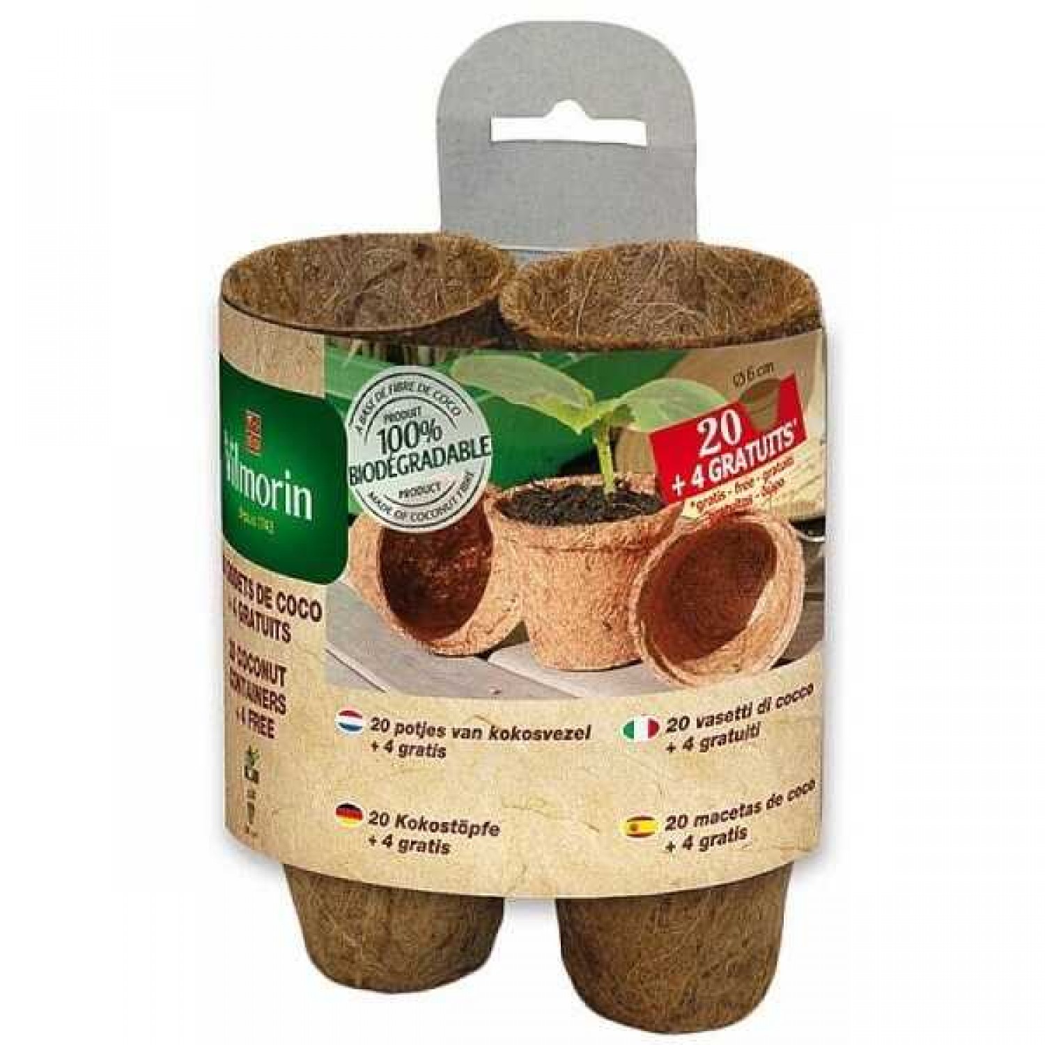 Degrade Cups Coconut 8x8 cm 24 pc Cups Coconut 8x8 cm 24 pc | kipogeorgiki.live