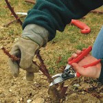 Felco 10 Κλαδευτήρι Γνήσιο 21cm Δ25mm για Αριστερόχειρες - Αυθεντικό Ψαλίδι Αντιπροσωπείας-Κλαδευτήρια